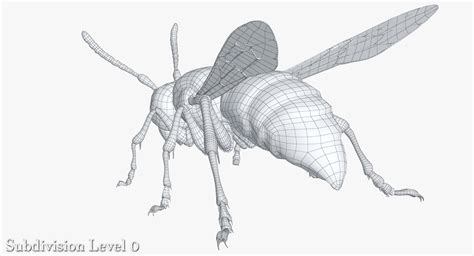 3D Wasp Drone Tutorial 的图像结果