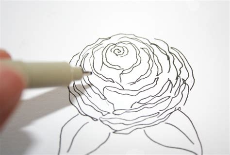 Image result for Rose Drawing Tutorial