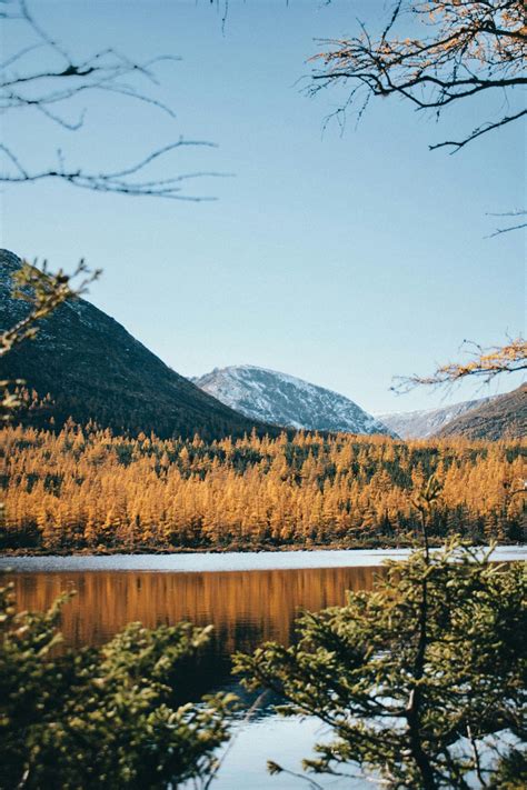 English vs French Language Tests Canada - Immigration Strategy