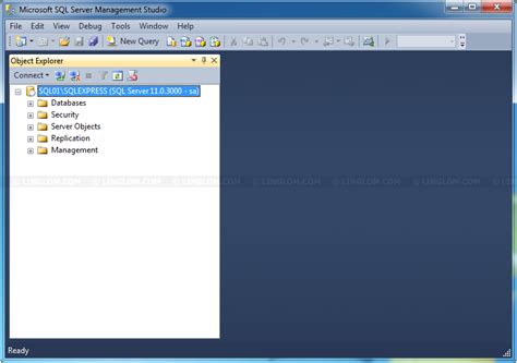 SQL Server Express Remote Access 的图像结果