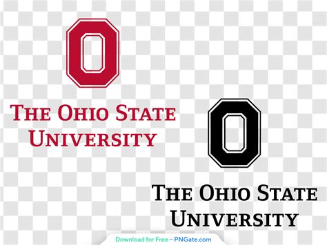 Image result for Ohio State University Logo Script
