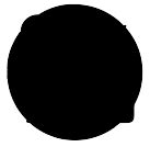 FirstOpinion - CA Test Series & FREE Mentorship platform