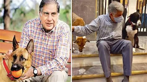 Ratan Tata Photos: His Love For Animals To Launch Of Tata Nano, A Look ...