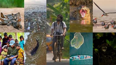Meet wildlife photographer Srikanth Mannepuri aka Andhra's 'Jim Corbett'
