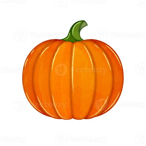 Cute watercolor pumpkin clipart 11190857 PNG