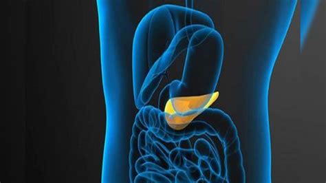 Gallbladder Stone Problem: ಪಿತ್ತಕೋಶ ಕಲ್ಲಿನ ಶಸ್ತ್ರಚಿಕಿತ್ಸೆ ನಂತರ ಆರೋಗ್ಯದ ...