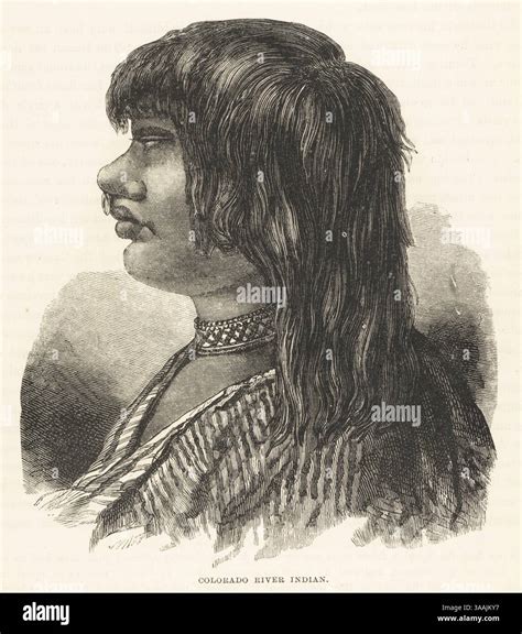 Portrait of a Mohave or Chemehuevi man in profile. Long straight hair ...