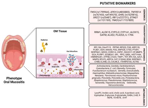 Attempts to Understand Oral Mucositis in Head and Neck Cancer Patients ...