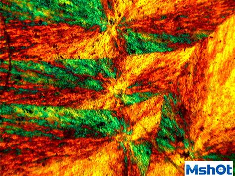 Image result for Color CMOS Camera