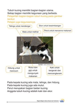 Image result for Integer Programming Structure