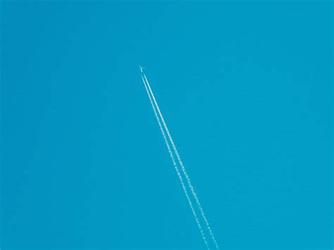 Image result for Light Blue Solid Color Background