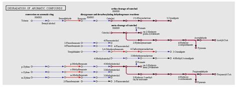Comparative Genomic Analysis of Arctic Permafrost Bacterium ...