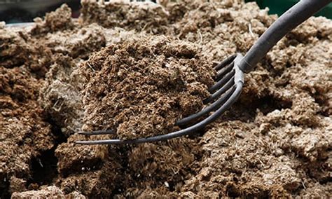 WebAstrologers Dream Dictionary | Manure | Fertilizer Dreams