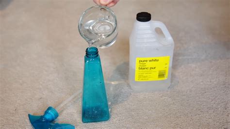 Salt and Vinegar Stain Removal: Your Ultimate Guide - Eco Organic Nest