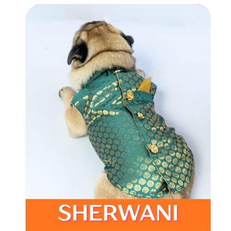 India's Best Pet Clothing Online Shopping Store-Pawgy Pets