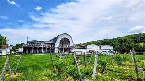 First Session: Millbrook Winery’s “Vine to Wine” Boot Camp, Millbrook ...