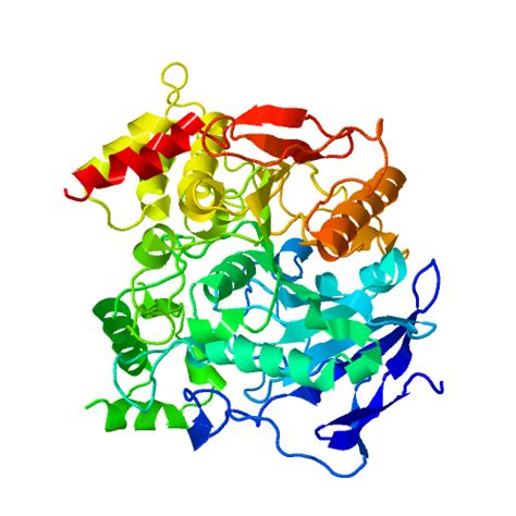 Human Acetylcholinesterase from target database | PDTDB & Phytochemical ...