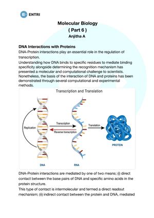 DNA Topology - Essay - Molecular Biology ( Part 7 ) Anjitha A DNA ...