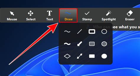 Zoom Annotation Tools 的图像结果