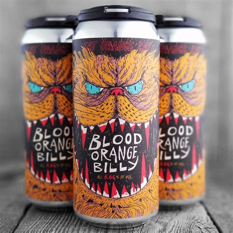Fat Orange Cat Blood Orange Billy | Craft Beer Kings – CBK