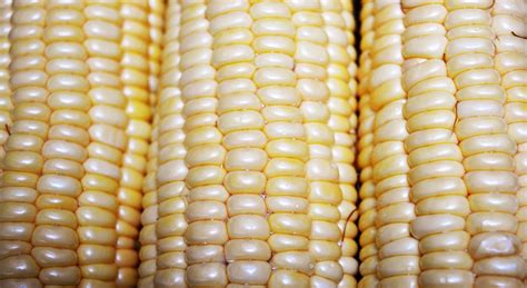 Image result for Kernel in Computer