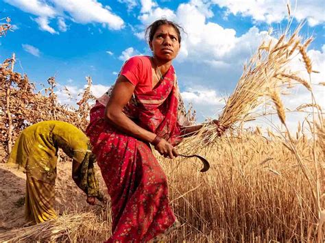 Cabinet approves Prime Minister Dhan-Dhaanya Krishi Yojana; Sitharaman ...