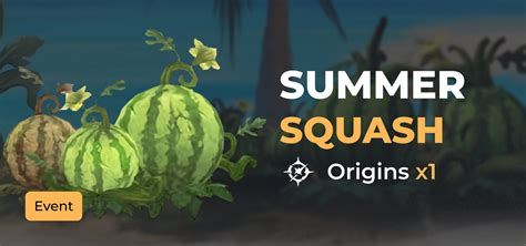 Summer Squash • Reborn