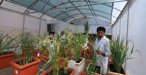 JSS Academy of Higher Education & Research | Faculty of Life Sciences ...