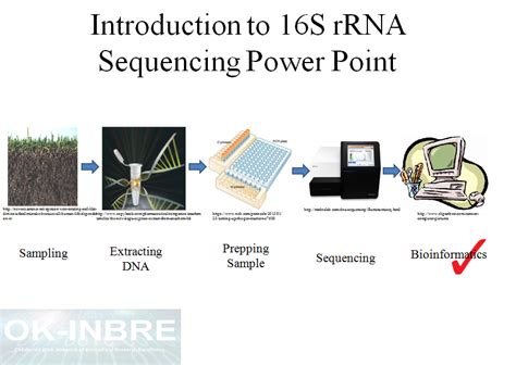 Introduction to 16S rRNA Sequencing
