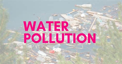 Challenges in Regulating Water Pollution in India | Economic and ...