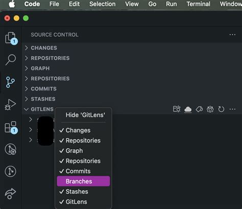 Image result for vs Code Source Control Not Working