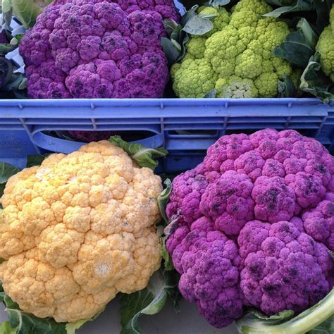 the art of vegetable banking – nuut