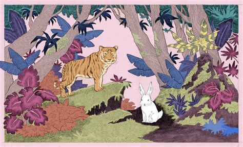 Tigerpython Rabbit 的图像结果