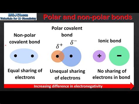 Polar Covalent Compounds Examples 的图像结果