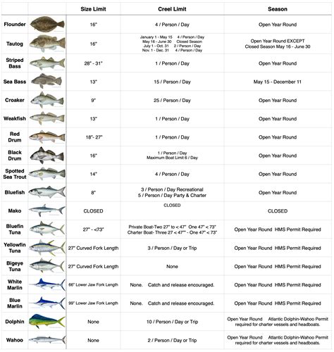 Maryland Fishing Regulations 2025: Licenses, Seasons, Limits & More ...