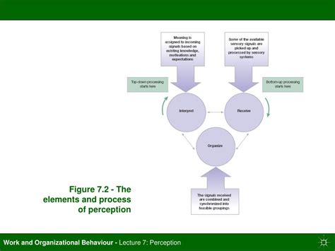 3 Elements of Perception 的图像结果