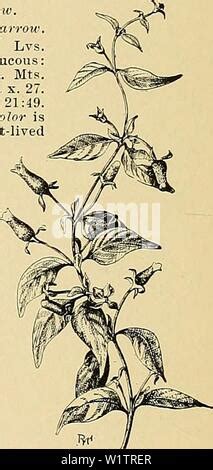 Image result for Graph Spring Constant Class 11