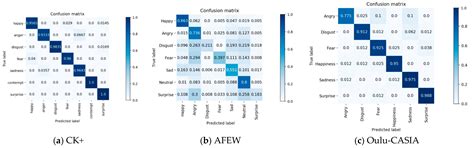 Hybrid Attention Cascade Network for Facial Expression Recognition