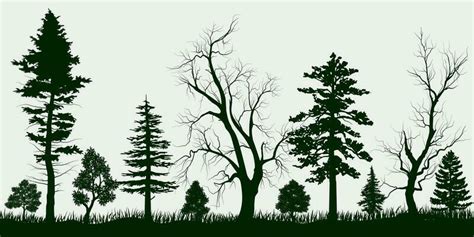 Image result for Forest Tree Vector