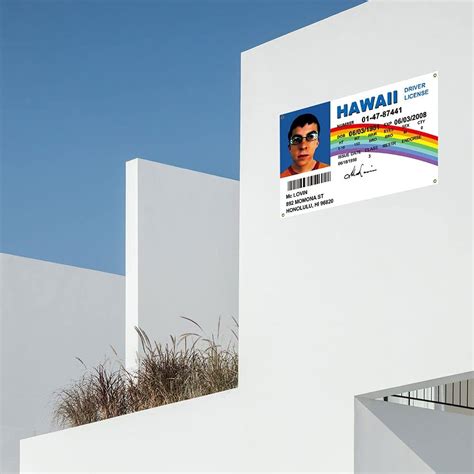 Buy McLovin ID Flag 3x5 Ft Fake Driver License Flag Banner Decorations ...