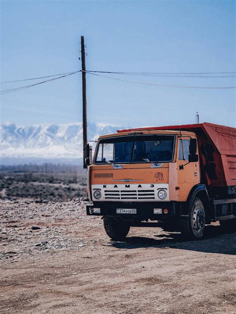 Drivers License Stock Image 的图像结果