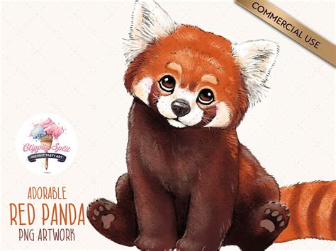 Red Panda Clipart Cute Red Panda Cartoon Illustration" Poster For Sale