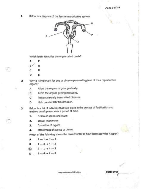 Science Term 1 Question Paper Answer Key 的图像结果