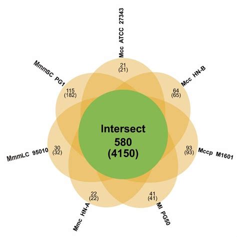 Image result for Anemai Algorithm