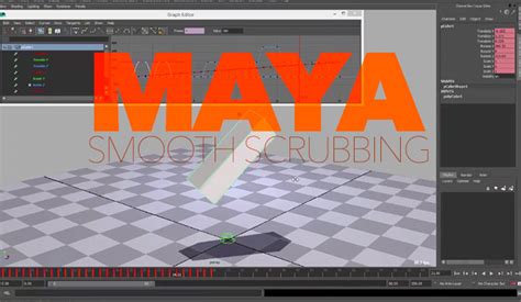 Image result for Scrubbing the Script Python