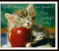 Image result for Good Morning Happy Sunday Quotes