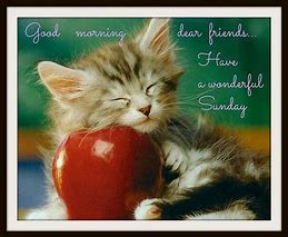Image result for Have a Good Sunday Quotes