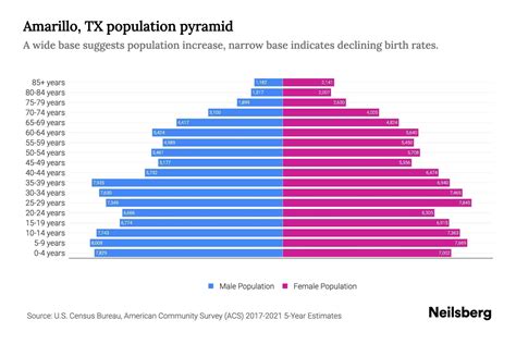 Amarillo, TX Population by Age - 2023 Amarillo, TX Age Demographics ...