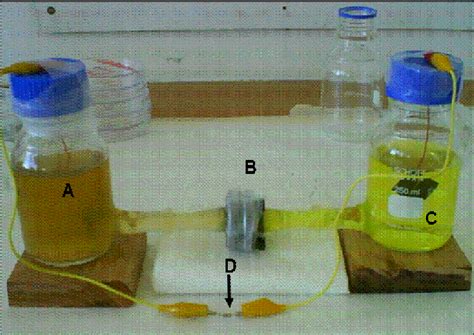 Image result for Microbial Fuel Cell Anode and Cathode