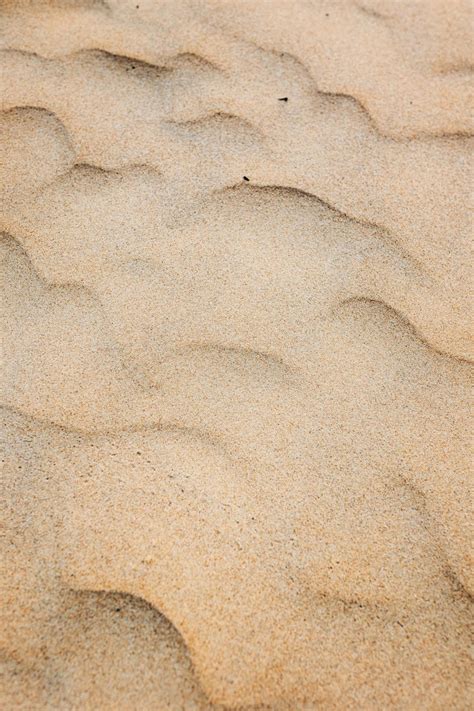 Sand 的图像结果